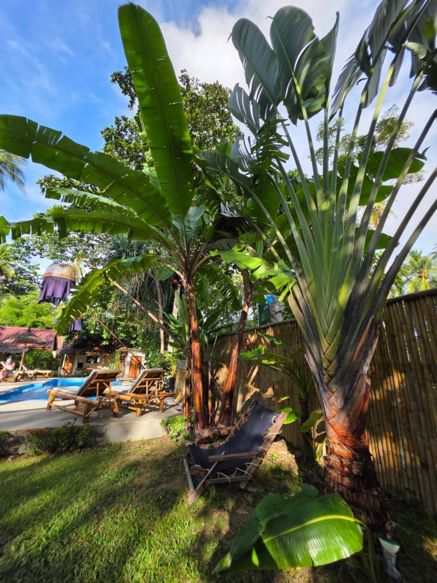 The Mellow Mango Koh Lanta Exterior photo